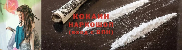 PSILOCYBIN Магадан