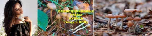 соль ск Магас