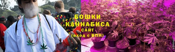 PSILOCYBIN Магадан