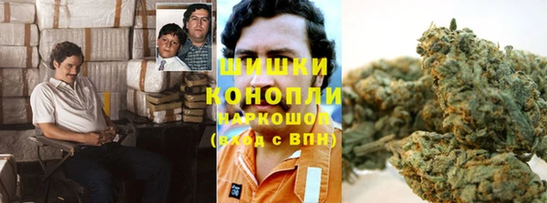 PSILOCYBIN Магадан
