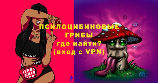 PSILOCYBIN Магадан