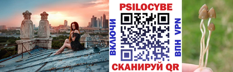 Галлюциногенные грибы GOLDEN TEACHER  Купить закладки  Ершов 
