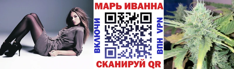 Каннабис сатива  Купить  Ершов 
